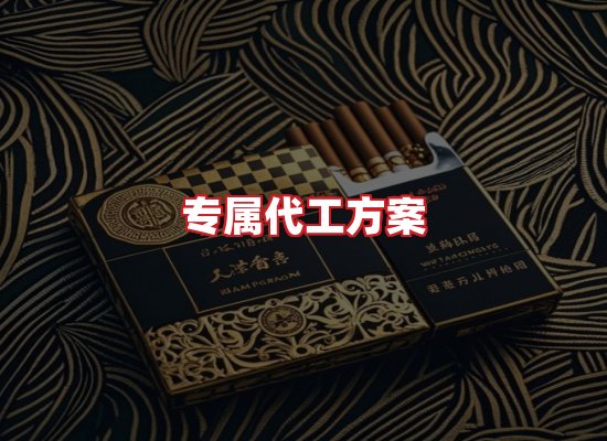专业团队